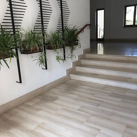 Appartamento Le Zagare Sorrento Exterior foto