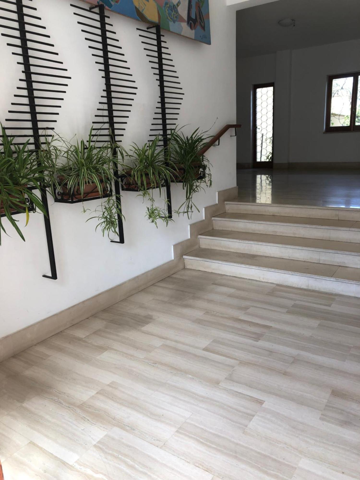 Appartamento Le Zagare Sorrento Exterior foto